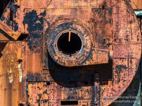 Antarctic Tern, Antarctica, Elephant seals, Fur seal, Landscape, Nature, Photography, seascape, South Georgia, South Georgia Cormorant, Travel, Wilderness, Wildlife
