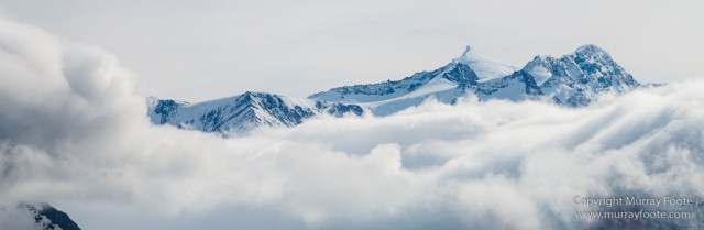 Antarctica, Elephant seals, Gold Harbour, Landscape, Nature, Photography, seascape, South Georgia, Travel, Wilderness, Wildlife