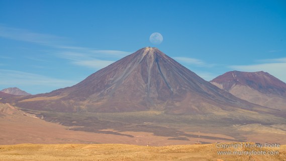 Atacama Desert, Chile, Coyote Leap, Laguna Tebenquiche, Landscape, Nature, Photography, Pukará de Quitor, Tatio, Travel, Tulor, Valee de la Luna, Wilderness, Wildlife