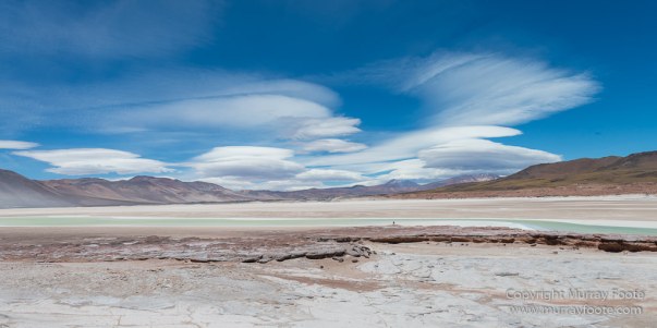 Atacama Desert, Chile, Flamingo, Lago de Tara, Laguna Chaxa, Laguna Miñiques, Laguna Miscanti, Landscape, Nature, Photography, Salar de Tara, Toconao, Travel, Wilderness, Wildlife