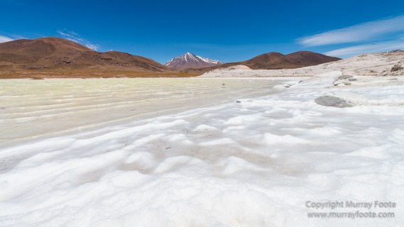 Atacama Desert, Chile, Flamingo, Lago de Tara, Laguna Chaxa, Laguna Miñiques, Laguna Miscanti, Landscape, Nature, Photography, Salar de Tara, Toconao, Travel, Wilderness, Wildlife