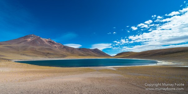 Atacama Desert, Chile, Flamingo, Lago de Tara, Laguna Chaxa, Laguna Miñiques, Laguna Miscanti, Landscape, Nature, Photography, Salar de Tara, Toconao, Travel, Wilderness, Wildlife