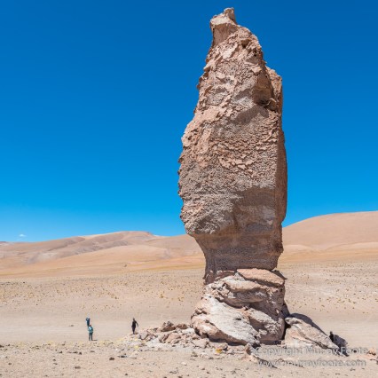 Atacama Desert, Chile, Flamingo, Lago de Tara, Laguna Chaxa, Laguna Miñiques, Laguna Miscanti, Landscape, Nature, Photography, Salar de Tara, Toconao, Travel, Wilderness, Wildlife