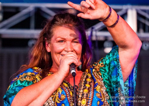 Australia, Blues, Blues Festivals, Live Music, Narooma Blues Festival, Photography, Travel