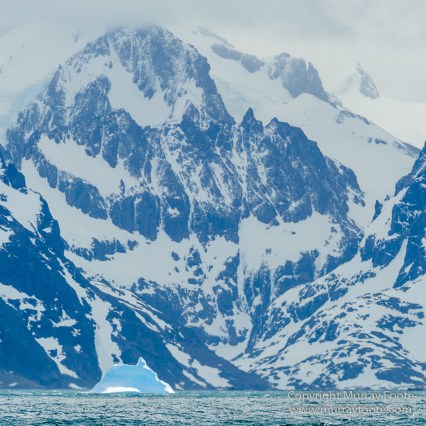 Antarctica, Chinstrap penguins, Elephant seals, Infrared, King Penguins, Landscape, Macro, Nature, Photography, seascape, South Georgia, Travel, Wilderness, Wildlife