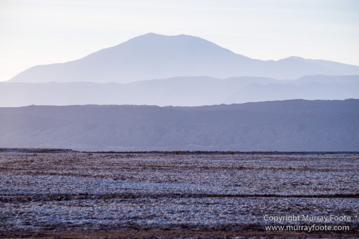 Atacama Desert, Chile, Coyote Leap, Laguna Tebenquiche, Landscape, Nature, Photography, Pukará de Quitor, Tatio, Travel, Tulor, Valee de la Luna, Wilderness, Wildlife