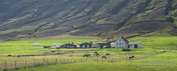 Akureyri, Aldeyjarfoss, Architecture, Goðafoss, History, Iceland, Landscape, Nature, Photography, Travel, Wilderness