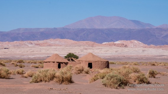 Atacama Desert, Chile, Coyote Leap, Laguna Tebenquiche, Landscape, Nature, Photography, Pukará de Quitor, Tatio, Travel, Tulor, Valee de la Luna, Wilderness, Wildlife