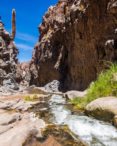 Atacama Desert, Chile, Coyote Leap, Laguna Tebenquiche, Landscape, Nature, Photography, Pukará de Quitor, Tatio, Travel, Tulor, Valee de la Luna, Wilderness, Wildlife
