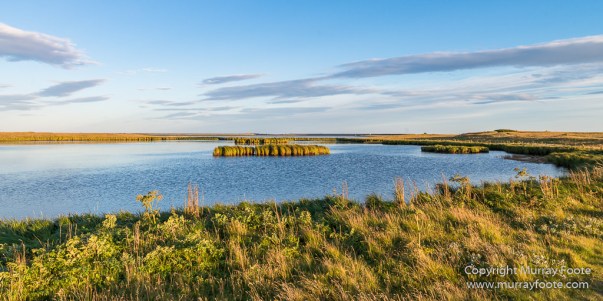 Djupivogur, Hofn, Iceland, Landscape, Nature, Photography, Travel, Wilderness