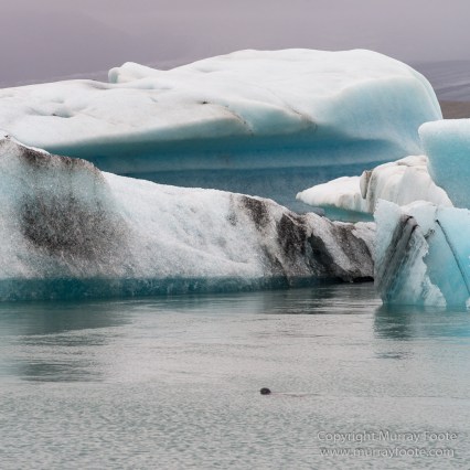Architecture, Glacier, Hofn, Icebergs, Iceland, Jökulsárlón, Landscape, Nature, Photography, seascape, Skálafellsjökull Glacier, Travel, Wilderness