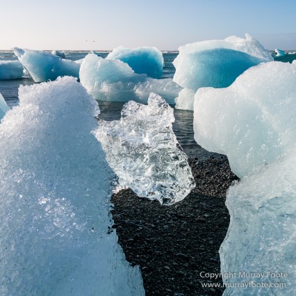 Glacier, Icebergs, Iceland, Jökulsárlón, Landscape, Nature, Photography, seascape, Travel, Wilderness