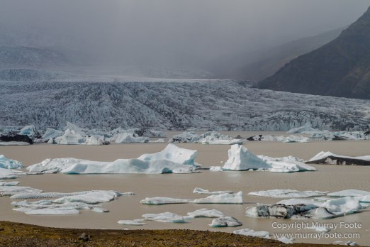 Fjallsárlón, Fjallsjókull Glacier, Glacier, Icebergs, Iceland, Jökulsárlón, Landscape, Nature, Photography, seascape, Travel, Wilderness