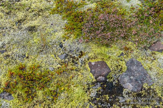 Glacier, Iceland, Landscape, Laufskalavarda, Macro, Nature, Photography, Skaftafell, Skaftafellsjökull, Travel, Wilderness