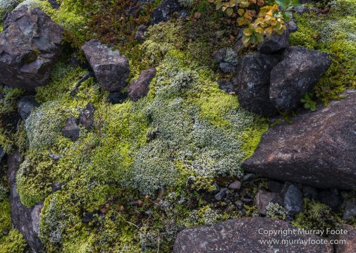 Glacier, Iceland, Landscape, Laufskalavarda, Macro, Nature, Photography, Skaftafell, Skaftafellsjökull, Travel, Wilderness