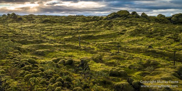 Glacier, Iceland, Landscape, Laufskalavarda, Macro, Nature, Photography, Skaftafell, Skaftafellsjökull, Travel, Wilderness