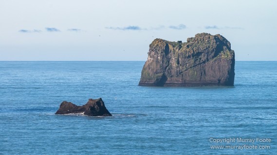 Dyrhólaey, Iceland, Landscape, Nature, Photography, seascape, Travel, Vik, Wilderness