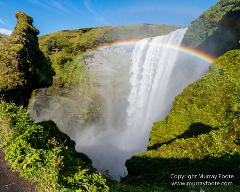 Iceland, Landscape, Nature, Photography, seascape, Seljalandsfoss, Travel, Waterfall, Wilderness