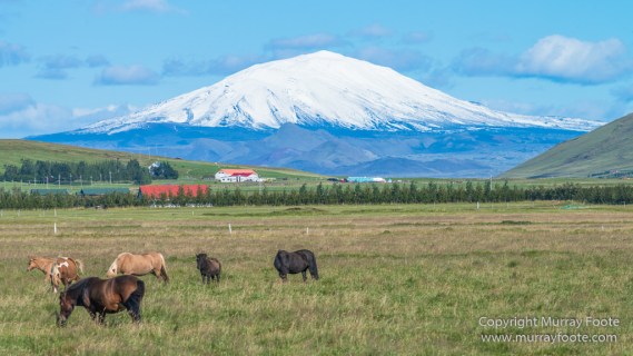 Geyser, Geysir, Gulfoss, Hekla, Iceland, Landscape, Nature, Photography, Travel, Waterfall, Wilderness