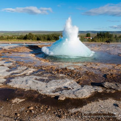 Geyser, Geysir, Gulfoss, Hekla, Iceland, Landscape, Nature, Photography, Travel, Waterfall, Wilderness