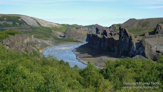 Hljóðaklettar, Iceland, Jökulsá á Fjöllum river, Jökulsárgljúfur Canyon, Jökulsárgljúfur National Park, Landscape, Nature, Photography, Travel, Vesterdalur, Wilderness