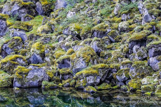 Ásbyrgi, Iceland, Jökulsárgljúfur National Park, Landscape, Nature, Photography, Reflections, Travel, Wilderness