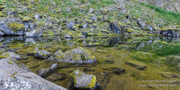 Ásbyrgi, Iceland, Jökulsárgljúfur National Park, Landscape, Nature, Photography, Reflections, Travel, Wilderness