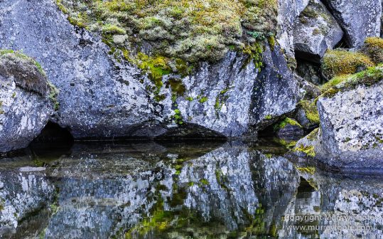 Ásbyrgi, Iceland, Jökulsárgljúfur National Park, Landscape, Nature, Photography, Reflections, Travel, Wilderness