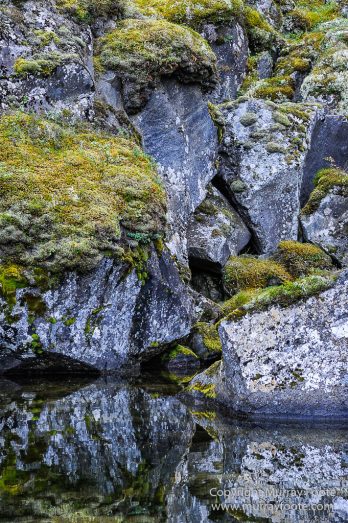 Ásbyrgi, Iceland, Jökulsárgljúfur National Park, Landscape, Nature, Photography, Reflections, Travel, Wilderness