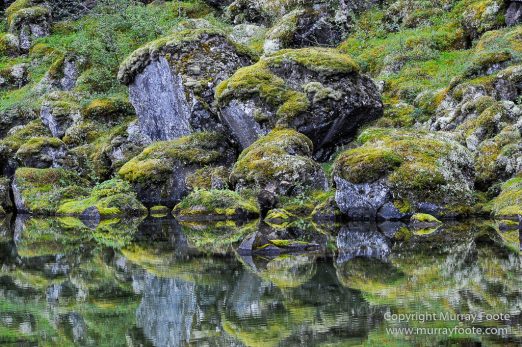 Ásbyrgi, Iceland, Jökulsárgljúfur National Park, Landscape, Nature, Photography, Reflections, Travel, Wilderness