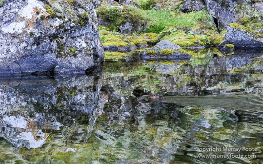 Ásbyrgi, Iceland, Jökulsárgljúfur National Park, Landscape, Nature, Photography, Reflections, Travel, Wilderness