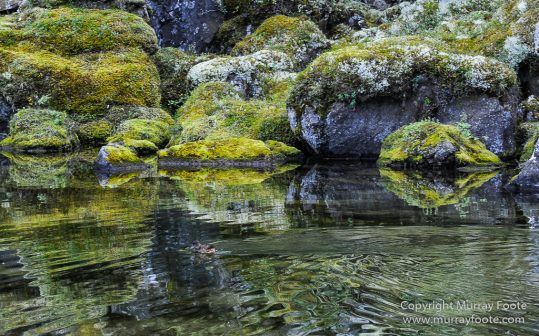 Ásbyrgi, Iceland, Jökulsárgljúfur National Park, Landscape, Nature, Photography, Reflections, Travel, Wilderness