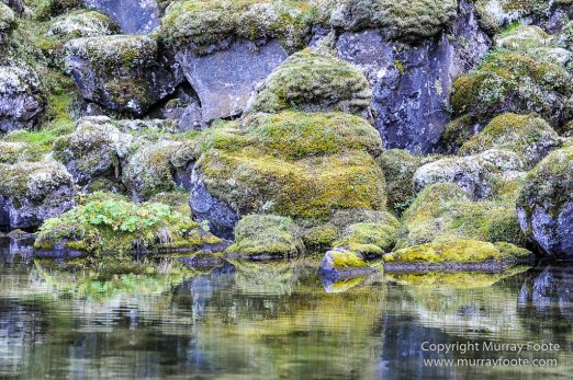 Ásbyrgi, Iceland, Jökulsárgljúfur National Park, Landscape, Nature, Photography, Reflections, Travel, Wilderness1