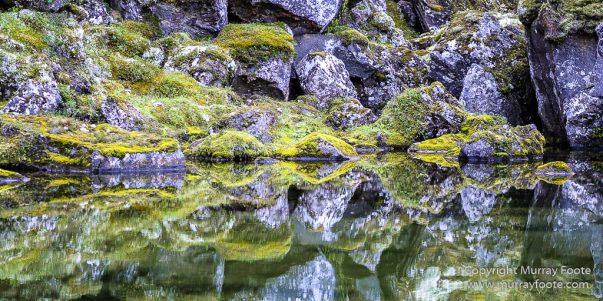 Ásbyrgi, Iceland, Jökulsárgljúfur National Park, Landscape, Nature, Photography, Reflections, Travel, Wilderness