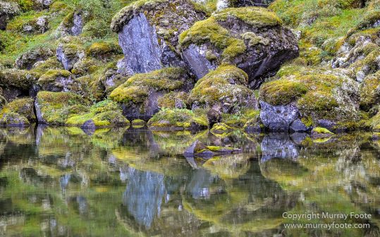 Ásbyrgi, Iceland, Jökulsárgljúfur National Park, Landscape, Nature, Photography, Reflections, Travel, Wilderness