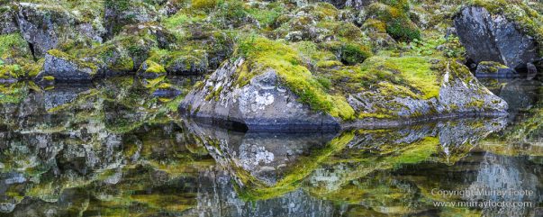 Ásbyrgi, Iceland, Jökulsárgljúfur National Park, Landscape, Nature, Photography, Reflections, Travel, Wilderness