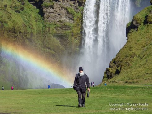 Iceland, Landscape, Nature, Photography, seascape, Seljalandsfoss, Travel, Waterfall, Wilderness