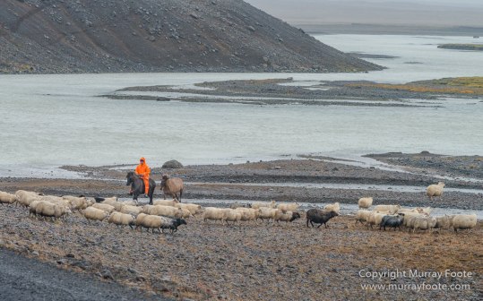 Architecture, Hellisfjall, Highlands, Horses, Iceland, Kerlingarfjöll, Landscape, Nature, Photography, Sheep, Travel, Wilderness