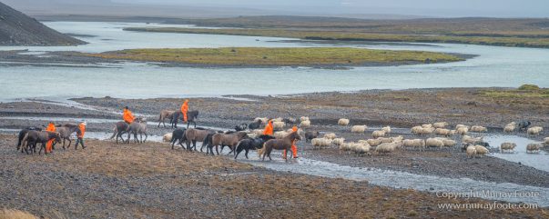 Architecture, Hellisfjall, Highlands, Horses, Iceland, Kerlingarfjöll, Landscape, Nature, Photography, Sheep, Travel, Wilderness