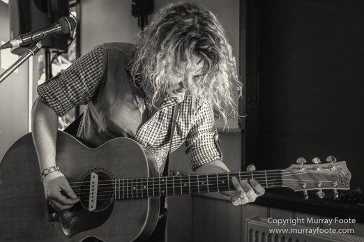 Australia, Blues, Blues Festivals, Live Music, Photography, Thredbo, Thredbo Blues Festival, Travel