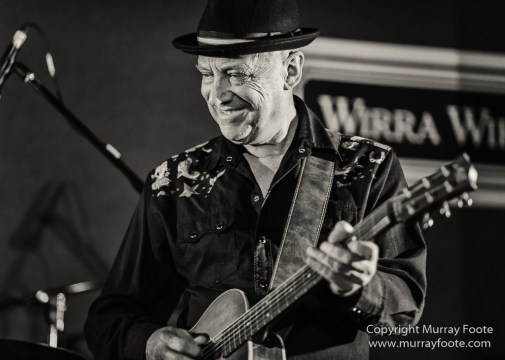 Australia, Blues, Blues Festivals, Live Music, Photography, Thredbo, Thredbo Blues Festival, Travel