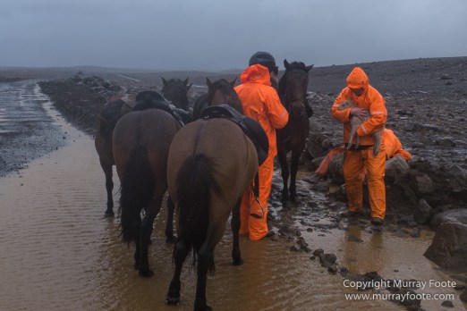 Architecture, Hellisfjall, Highlands, Horses, Iceland, Kerlingarfjöll, Landscape, Nature, Photography, Sheep, Travel, Wilderness