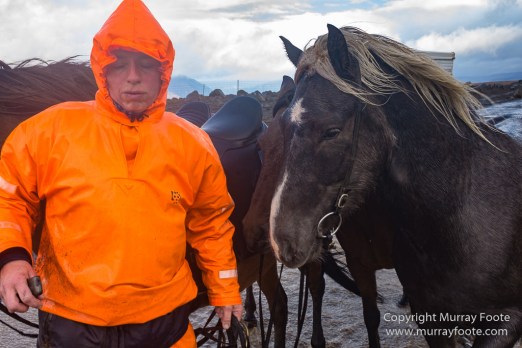 Architecture, Hellisfjall, Highlands, Horses, Iceland, Kerlingarfjöll, Landscape, Nature, Photography, Sheep, Travel, Wilderness