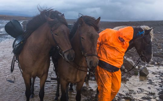 Architecture, Hellisfjall, Highlands, Horses, Iceland, Kerlingarfjöll, Landscape, Nature, Photography, Sheep, Travel, Wilderness