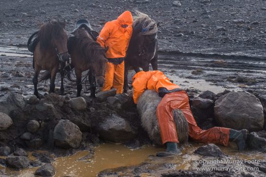 Architecture, Hellisfjall, Highlands, Horses, Iceland, Kerlingarfjöll, Landscape, Nature, Photography, Sheep, Travel, Wilderness