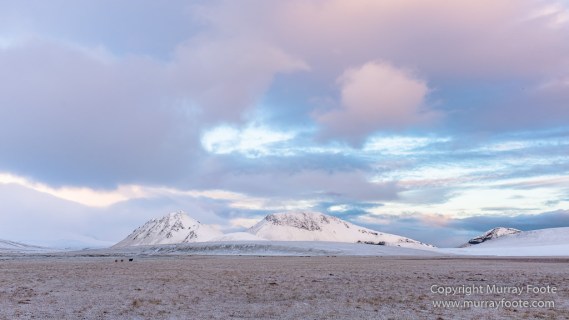 Highlands, Iceland, Landmannahellir, Landmannaleið, Landscape, Nature, Photography, Snow, Travel, Wilderness
