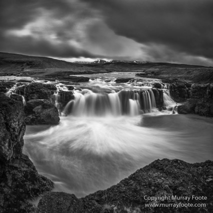 Architecture, Black and White, Ice, Iceland, Landscape, Monochrome, Nature, Photography, Sheep, Snow, Travel, Waterfall, Wilderness