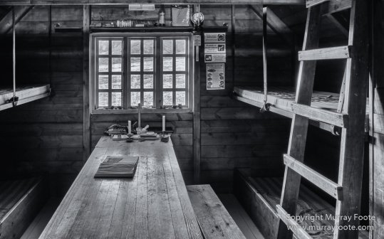 Architecture, Black and White, Ice, Iceland, Landscape, Monochrome, Nature, Photography, Sheep, Snow, Travel, Waterfall, Wilderness