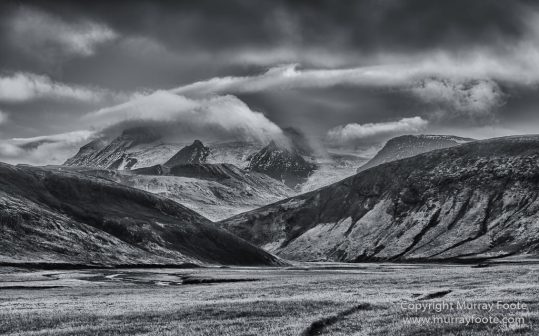 Architecture, Black and White, Ice, Iceland, Landscape, Monochrome, Nature, Photography, Sheep, Snow, Travel, Waterfall, Wilderness
