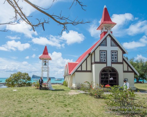 Archaeology, Architecture, History, Landscape, Mauritius, Notre Dame Auxiliatrice Chapel, Photography, seascape, Sir Seewoosagur Ramgoolam Botanical Garden, Travel, Wildlife